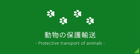 動物の保護輸送
